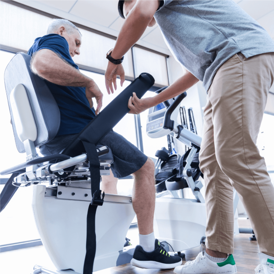 Recumbent Stepper 7.0S – Spirit